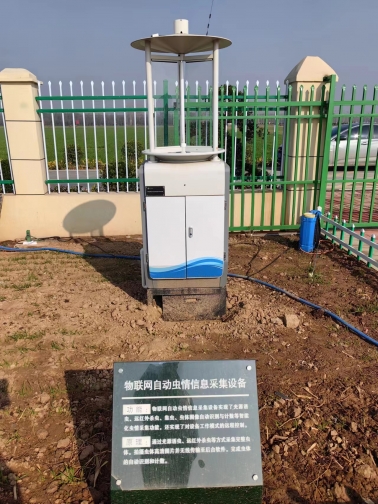 虫情监测