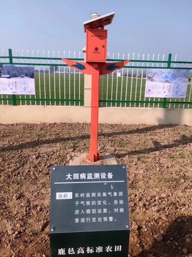 大斑病监测
