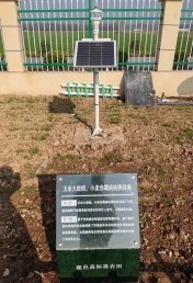 小麦赤霞监测